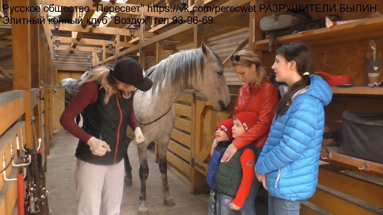 «Субботник. Мастер-класс: верховая езда для начинающих»