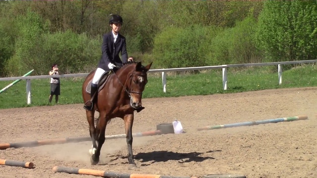 Соревнование по выездке. 