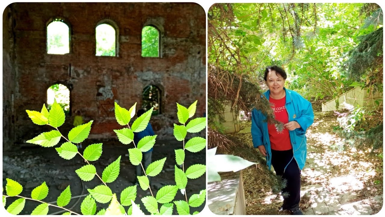 Вот это прогулочка... по заброшкам!))