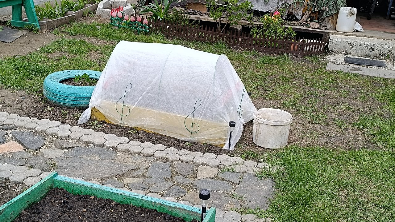 #57. Холодно, но мы сажаем грядки. Весна где то заблудилась!🤣☀️💐❤️ 12.05.2024г.