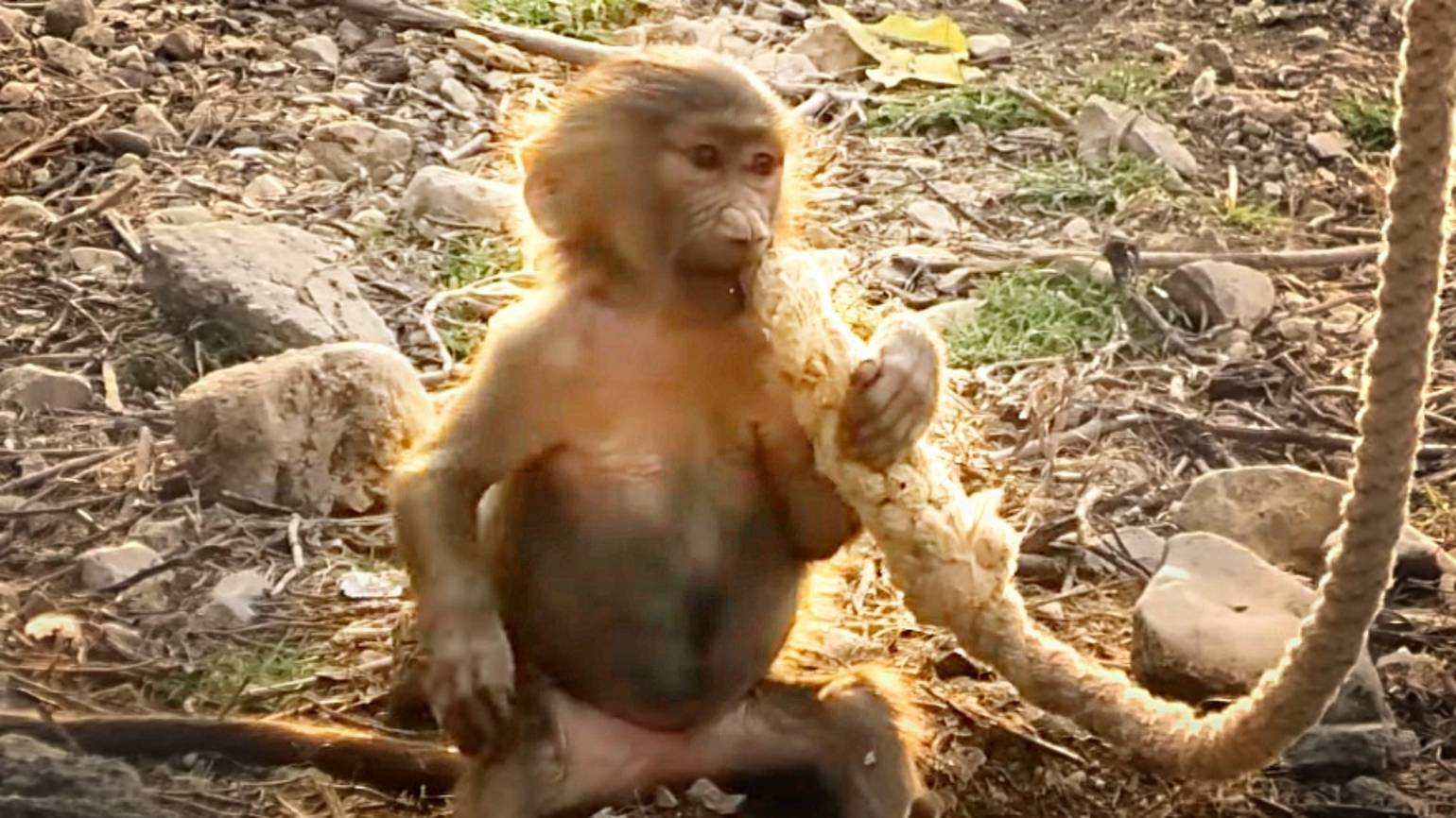 Тосина родня из ДОМ2 - весёлые подростки играют в прятки. Насыщенный событиями вечер у гамадрил!