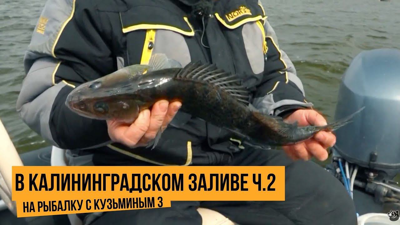В Калининградском заливе ч.2 / На рыбалке с Кузьминым 3 // №14