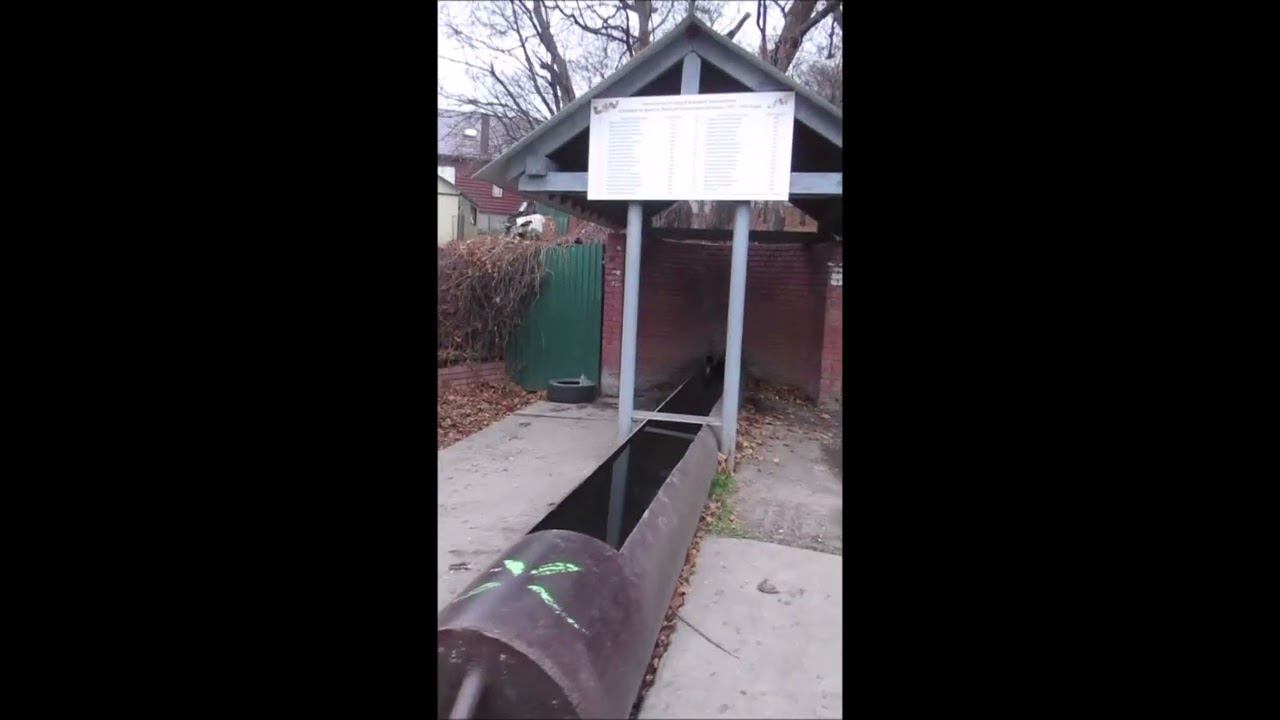 Поющий родник)