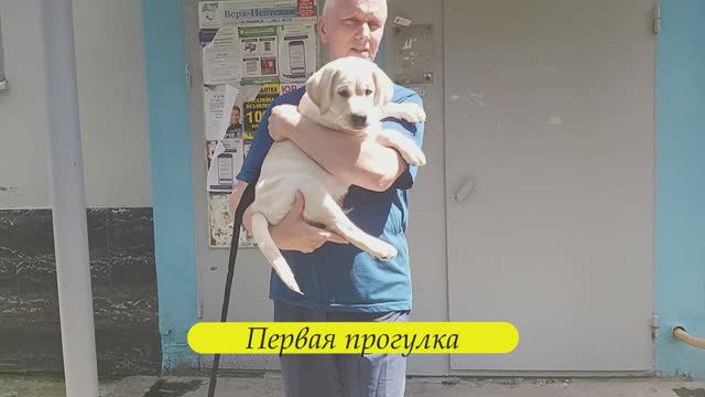 Первая прогулка 01.07.24