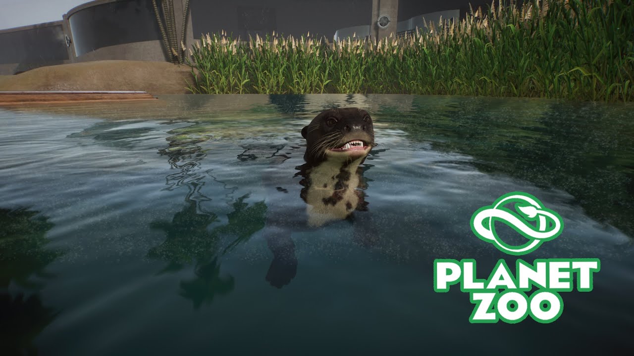 Planet Zoo S2 E20 - Вольер для бразильских выдр