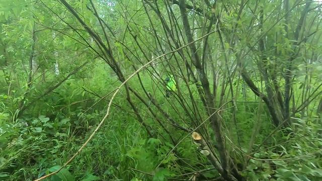 мото выезд 05,07,2019