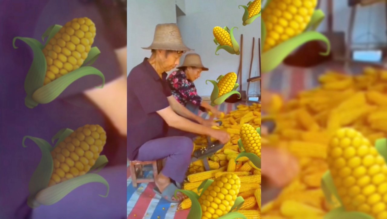 Поел кукурузки...