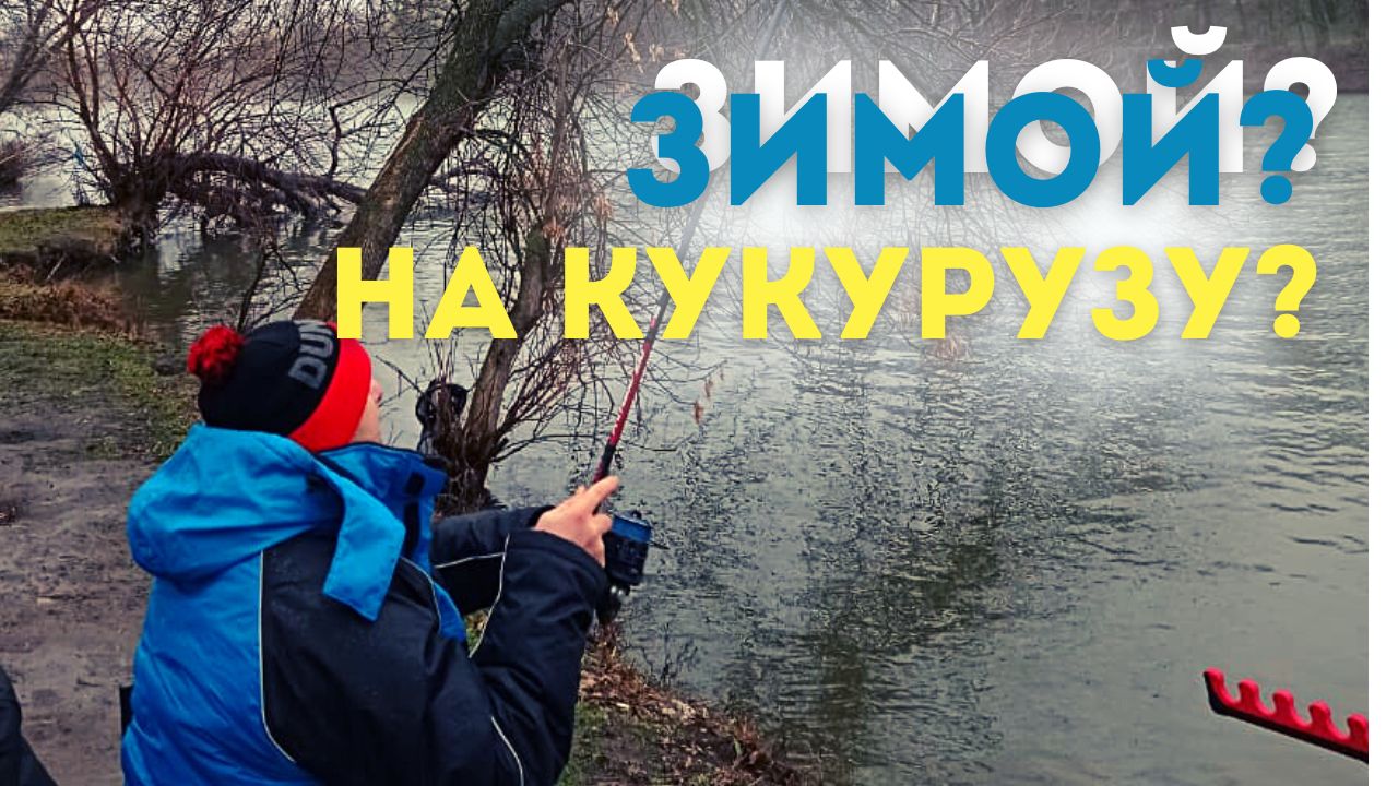 ЛОВЛЯ ФИДЕРОМ ЗИМОЙ. ТЕПЛЫЙ КАНАЛ. ОТЛИЧНАЯ КОМПАНИЯ. РЫБА ЕСТ КАК ЛЕТОМ. ЗАКРЫТИЕ ГОДА!