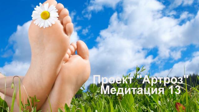 13 Проект _Артроз_ 13