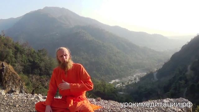 Три фактора эволюции. Психический уровень.