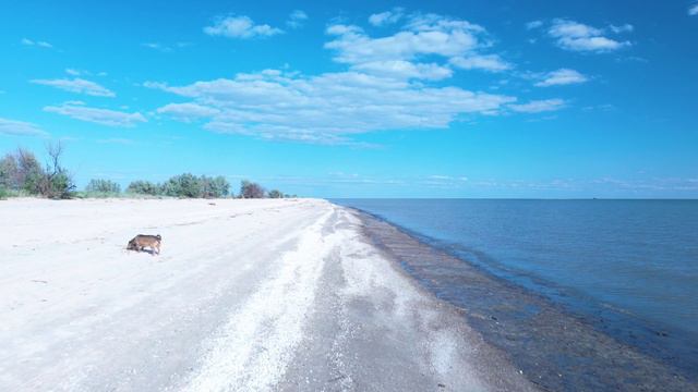 Беглицкая коса. Таганрогский залив. Азов. 12 мая 2024.