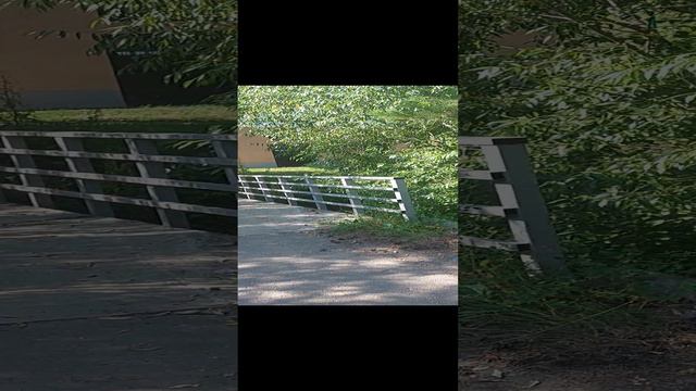 санаторий Сибирь, дорога до магазина