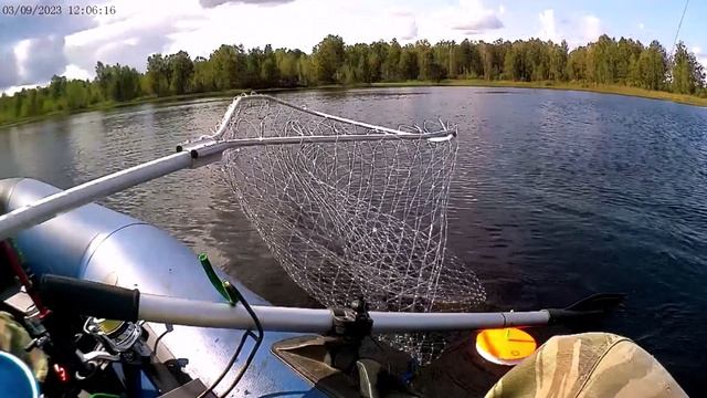 Осень 2023 (1) - вот и сентябрь!