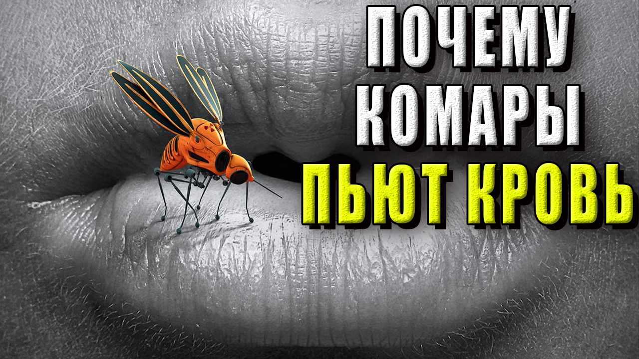 Почему комары пьют кровь?