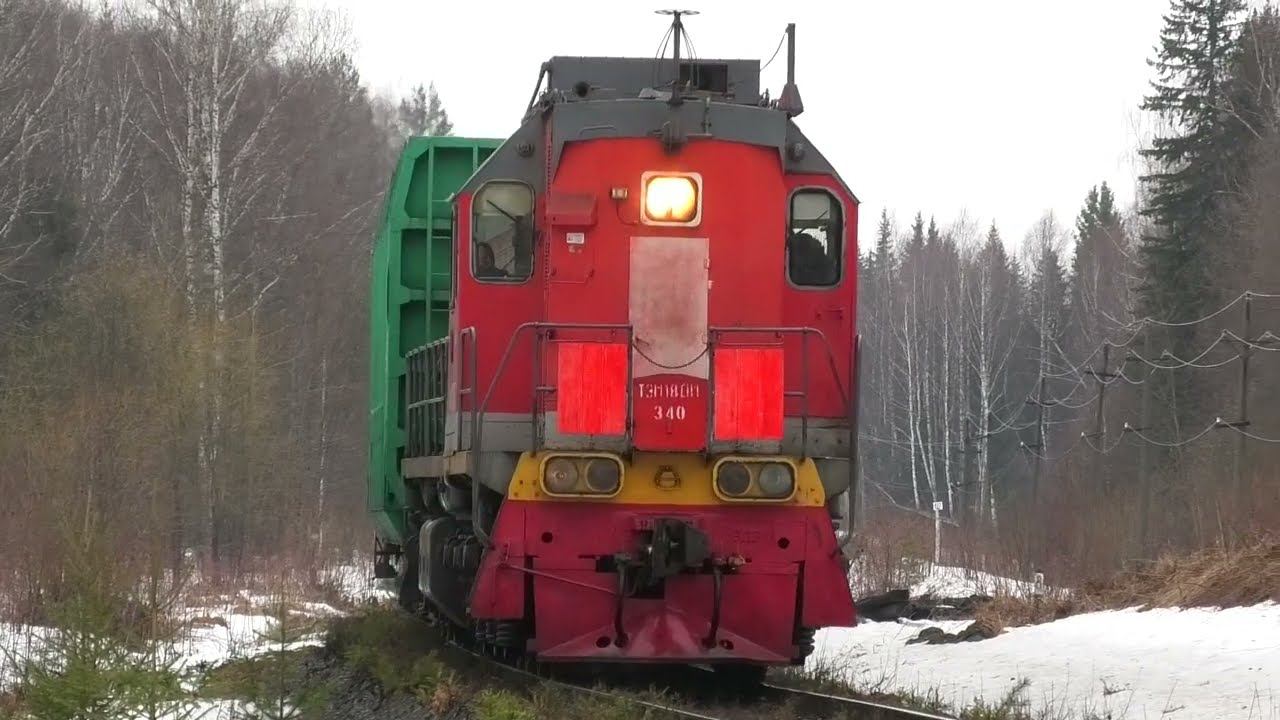 ТЭМ18ДМ-340 с небольшим составом лесовозов