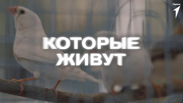 Движение Первых приглашает тебя принять участие в проекте «Всероссийские юннатские экспедиции»