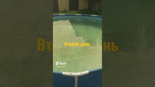 Супер очистка воды в бассейне за два дня