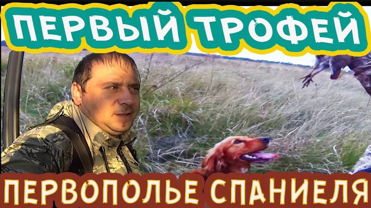 Первый трофей! Охота с собакой осенью. Первополье русского спаниеля.