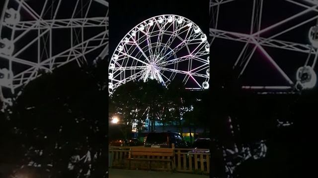 21.09.2019 А ВЫ КАТАЛИСЬ НА ТАКОМ_))??_♀️☝️.mp4