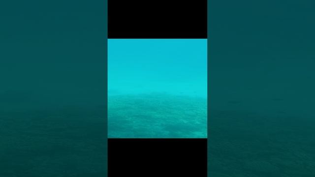 Экскурсия на яхте по Красному морю. Египет. Июль 2023.