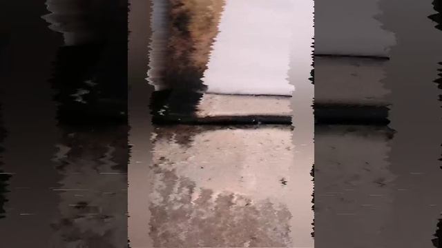 Раз банька....два банька :)