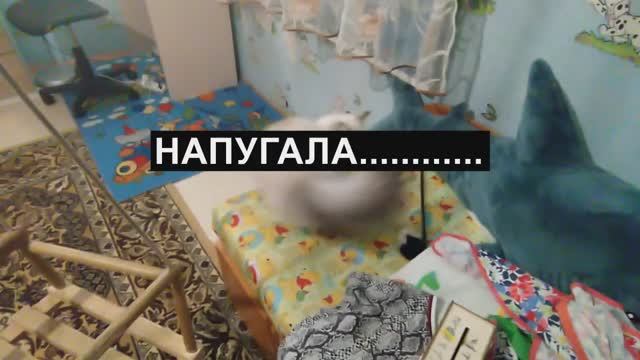 #02. Весенняя распутица.Напугала до инфаркта. Скачем на нейроскакалке