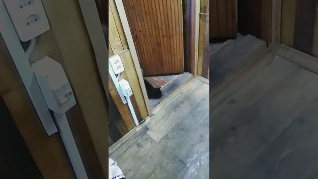 Котики-трусишки?❤️