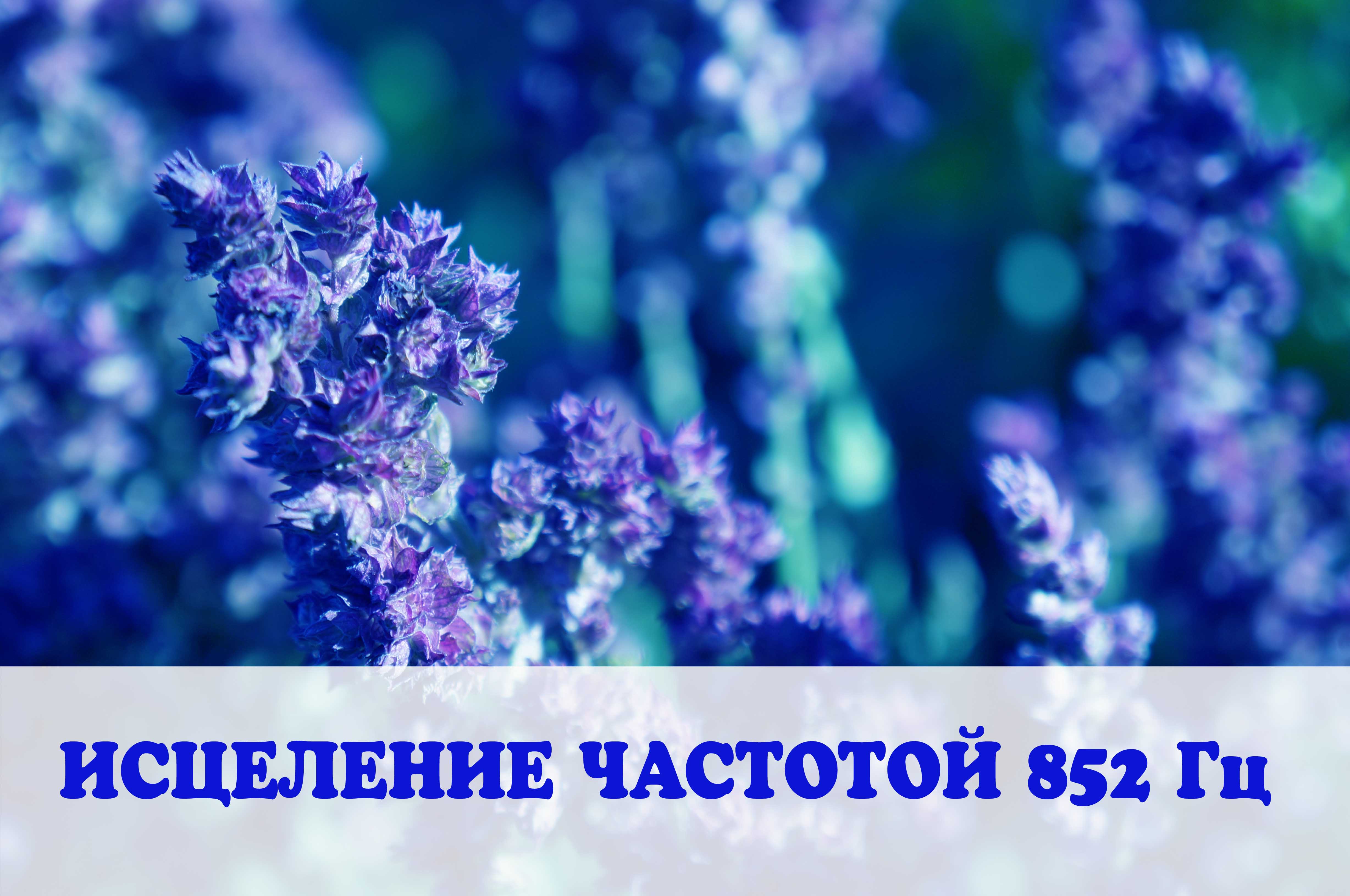 Частоты Сольфеджио: исцеление частотой 852 ГЦ