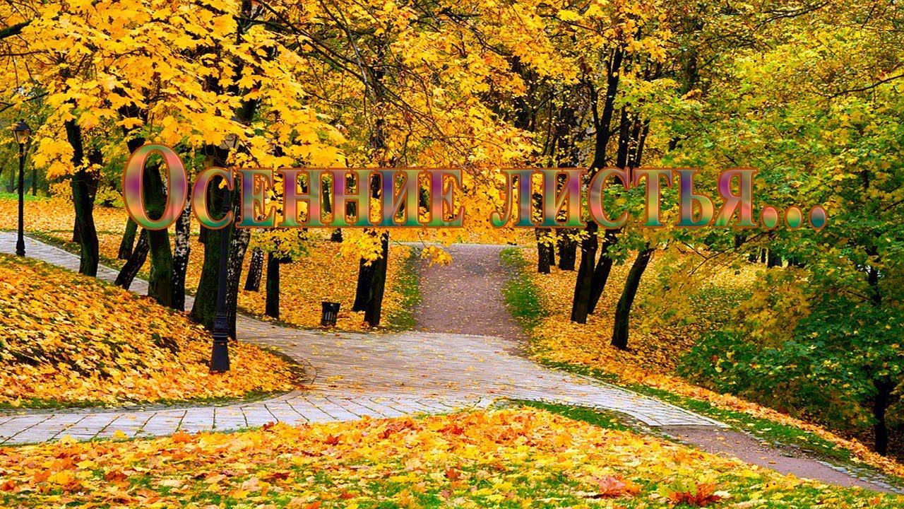 Осенние листья*  Autumn leaves