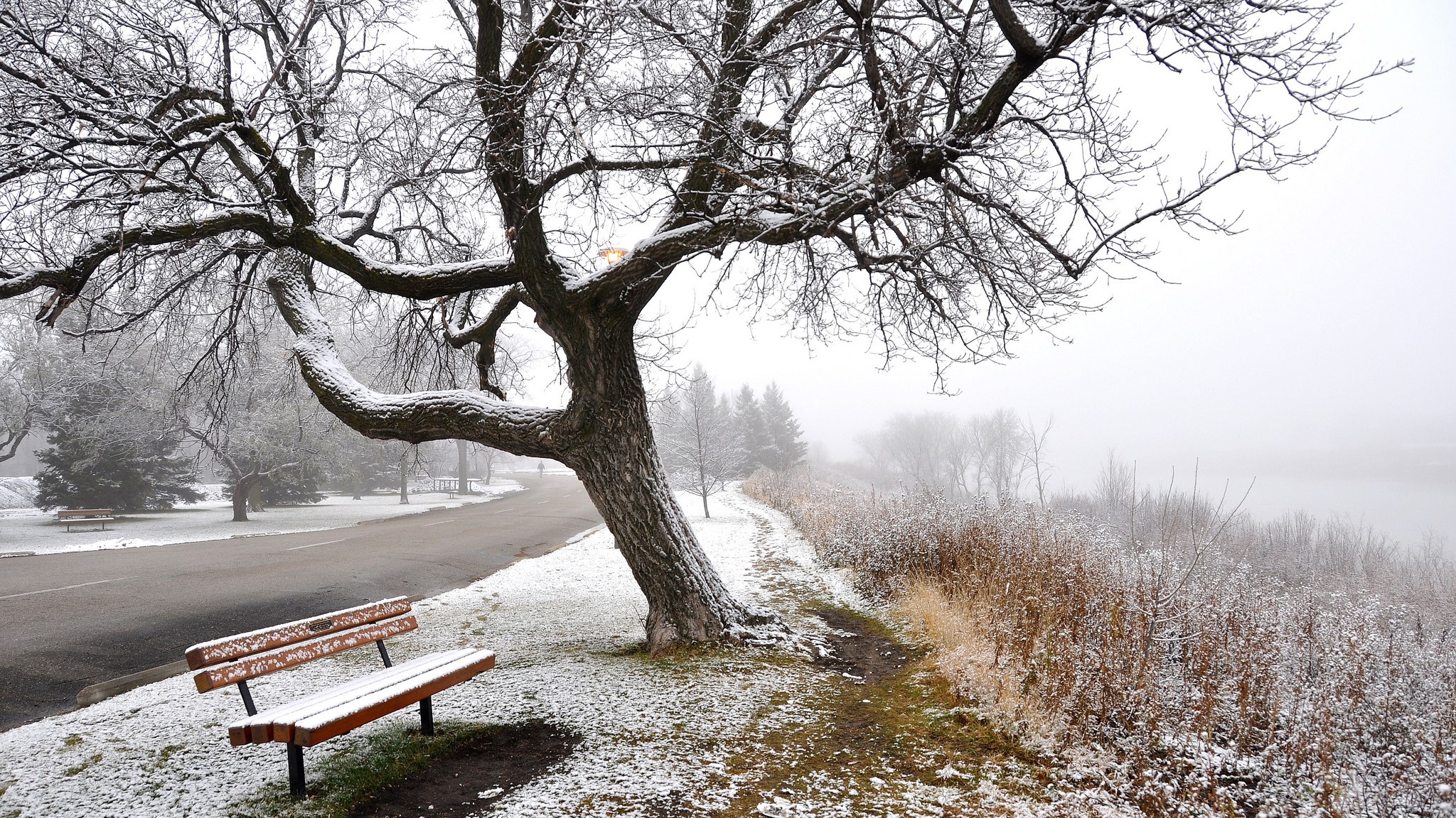 В Югре пройдёт первый снег