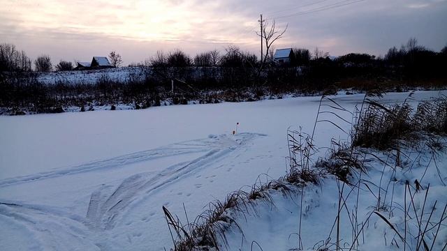 Жерлици на микроречке в Сибири.