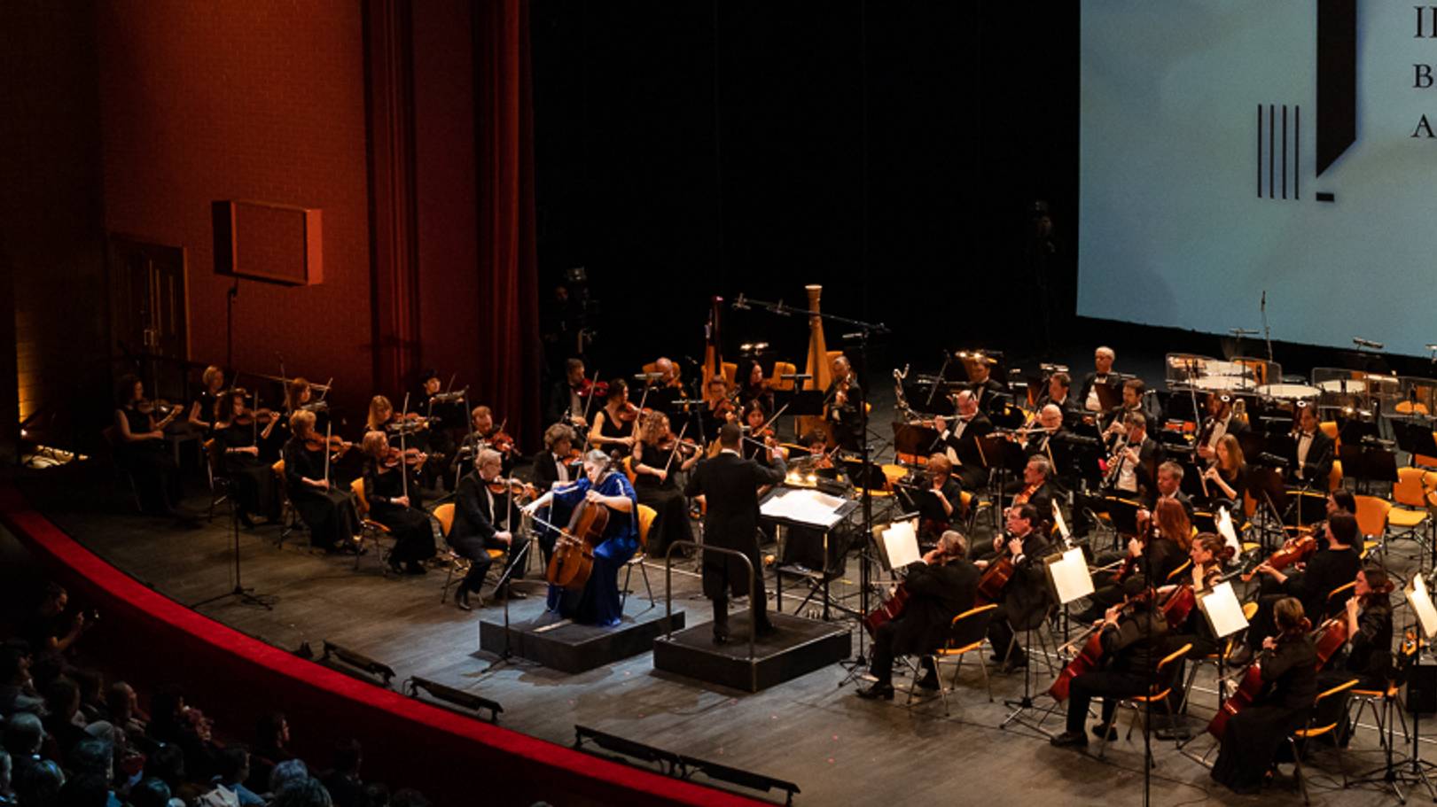 Чайковский - Ария Ленского из оперы Евгений Онегин | Анастасия Ушакова (виолончель)