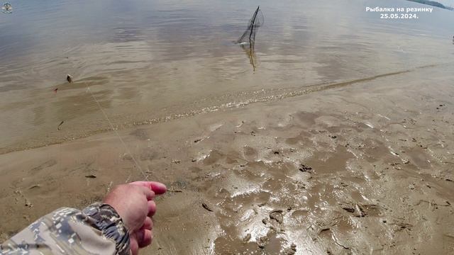 Рыбалка на резинку 25.05.2024.