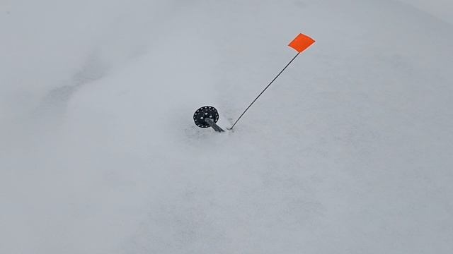 Первый лёд на лесном пруду!