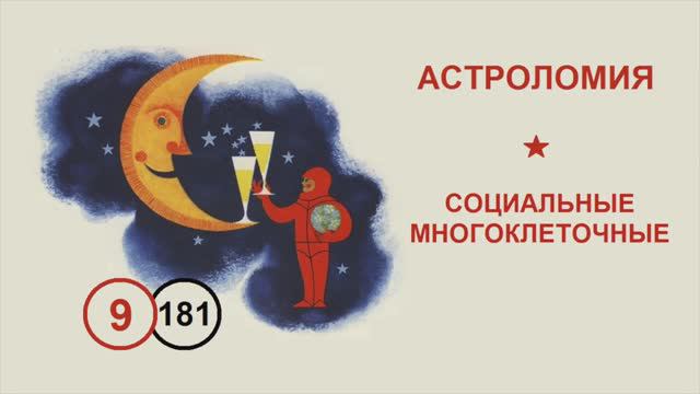181. Социальные многоклеточные. Лекция №9 по астроломии