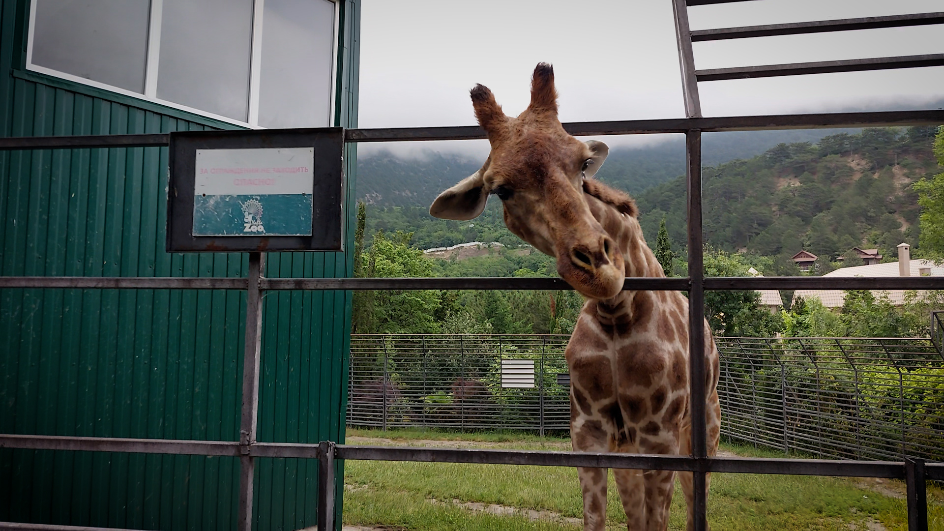 Ялтинский зоопарк "Сказка". Первый зоопарк Олега Зубкова. Крым. Июнь 2023. 1 часть.