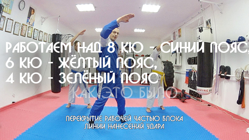 Работаем над 8 кю - синий пояс, 6 кю - жёлтый пояс, 4 кю - зелёный пояс в ЦСП «Тэнгу Про» Мурманск