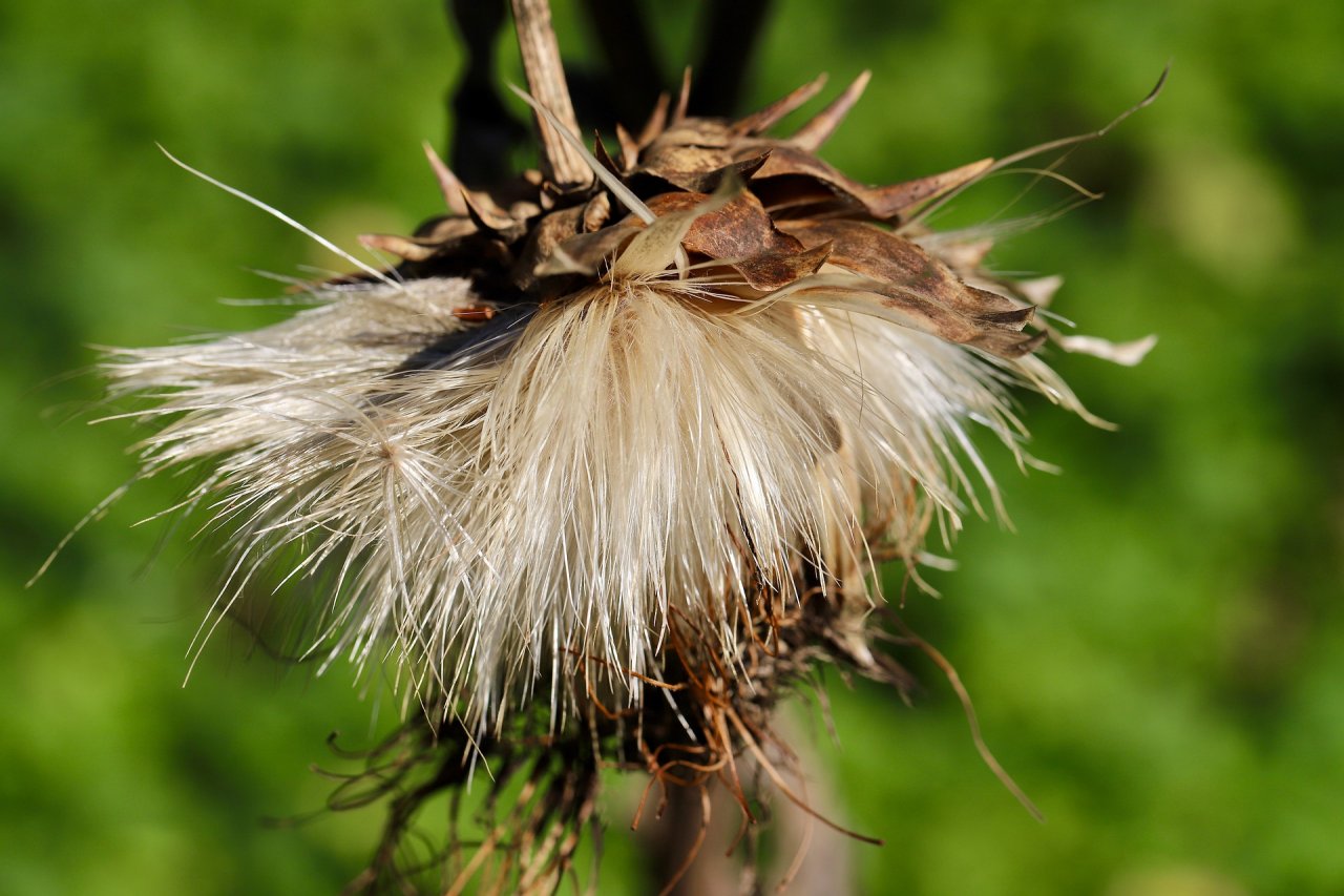 замечательный клип музыка и песни заходите.mp4