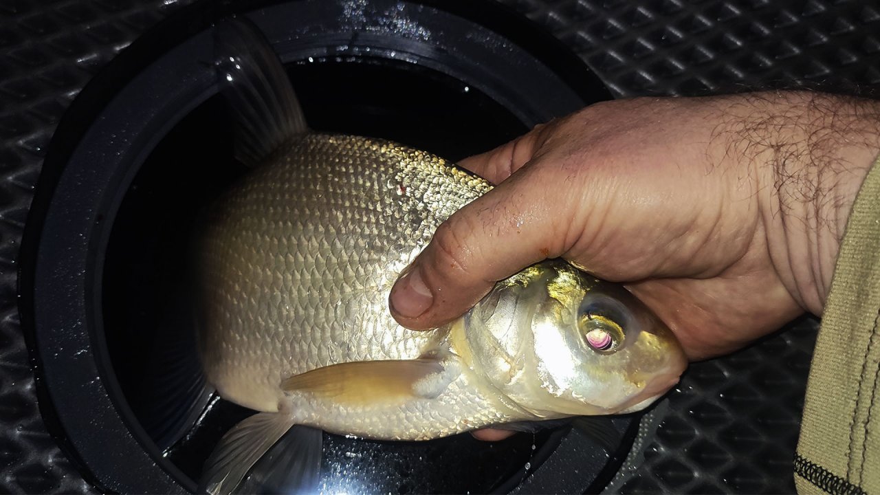 Зимняя рыбалка с комфортом! Подлещик Клюет!