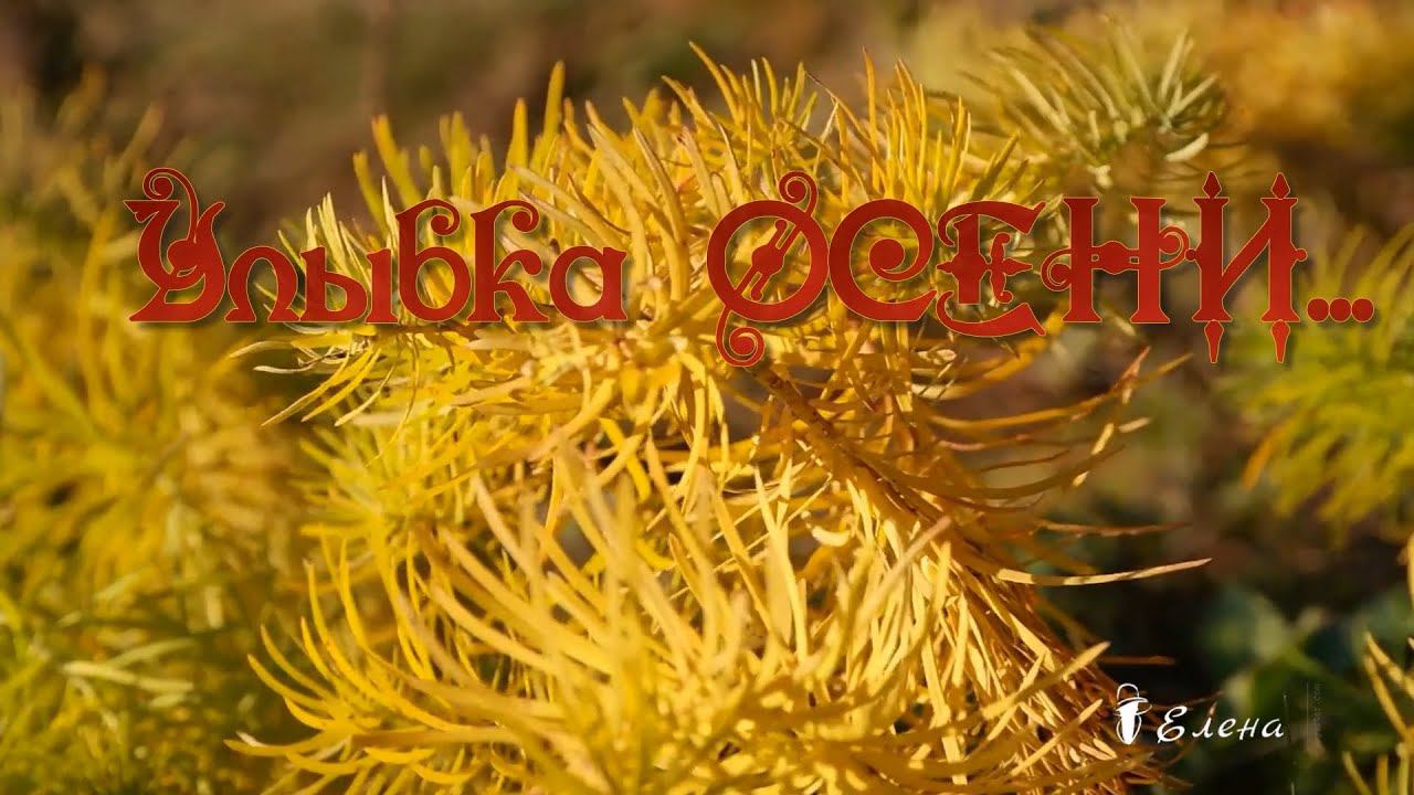 Улыбка ОСЕНИ *