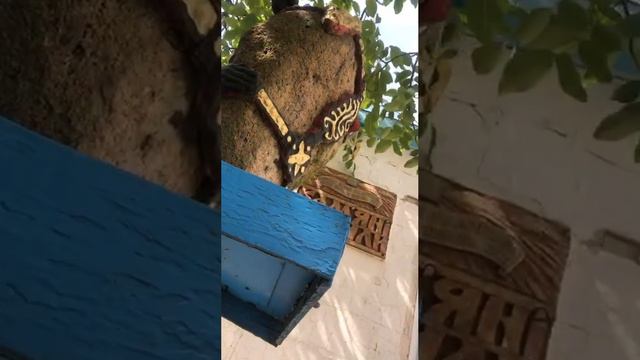 Заповедник Каменные Могилы. Начало экскурсии. Административное здание, часовня и дальше......