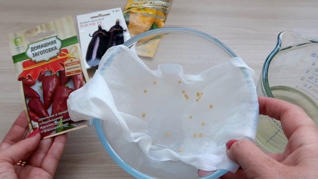 Многие не ЗНАЮТ, если сделать так, то СЕМЕНА прорастут намного БЫСТРЕЕ