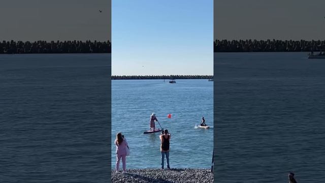 VID_20221219_080801_664