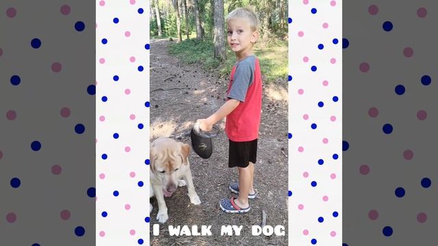 Домашние животные/ Pets