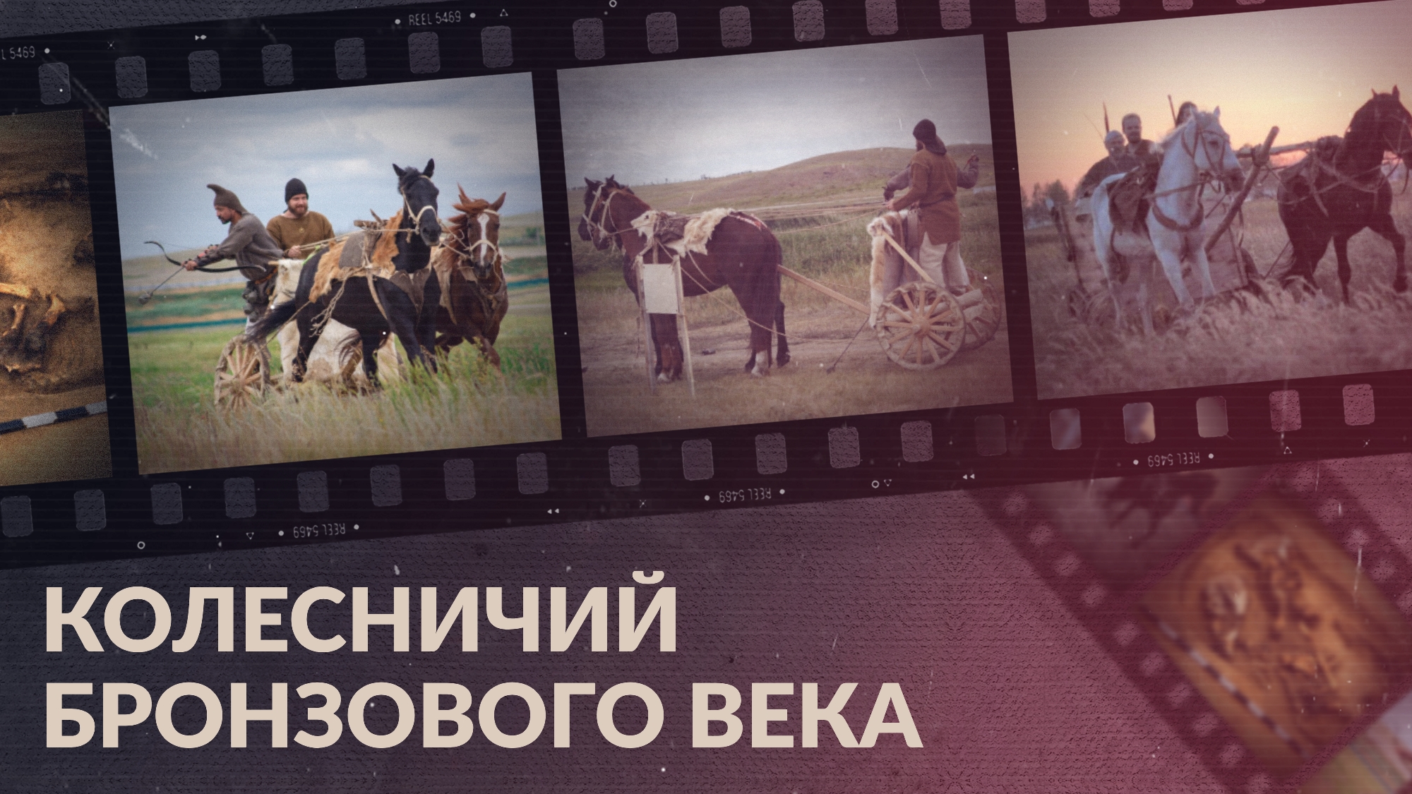 Колесничий бронзового века — вождь, воин или пастух?