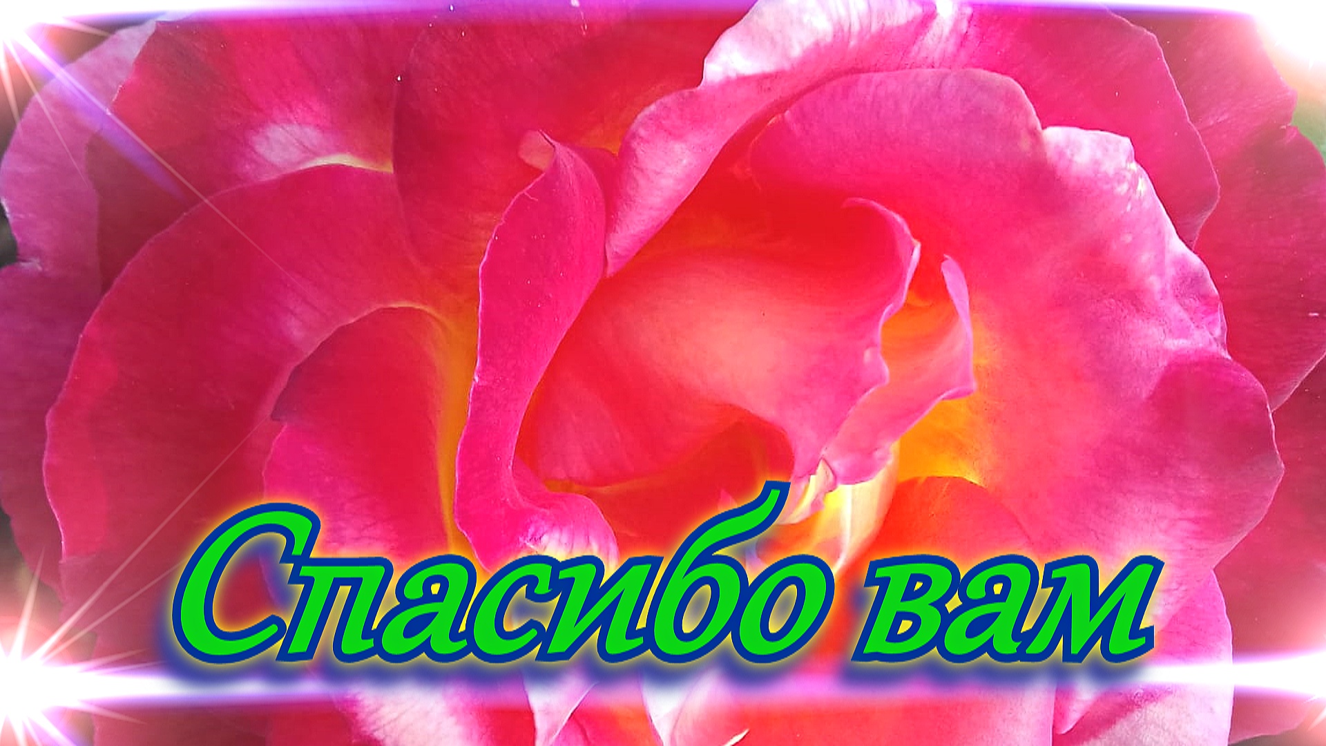 Дари свой свет ты миру и цвети!  Доброму человеку от всего сердца. Красивая открытка в стихах!