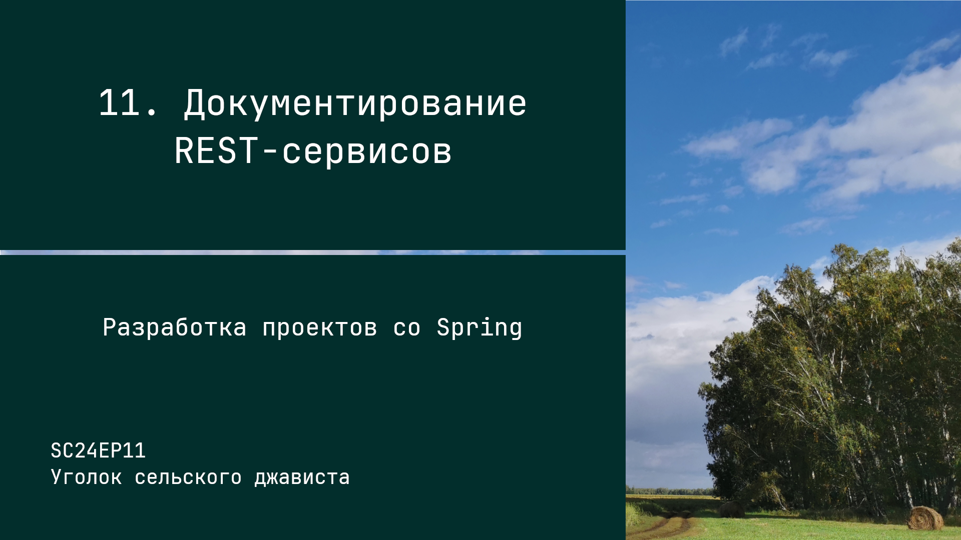 SC24EP11 Документация REST-сервисов - Разработка проектов со Spring