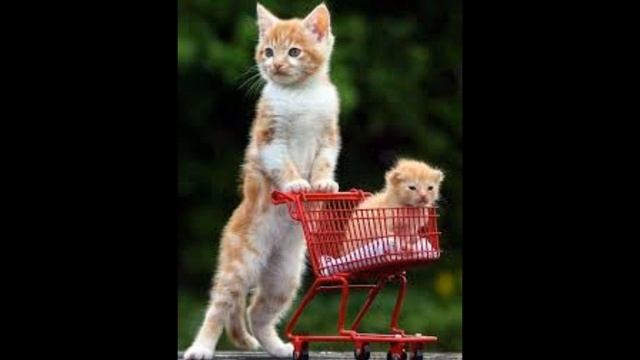 ТЕСТ НА ПСИХИКУ