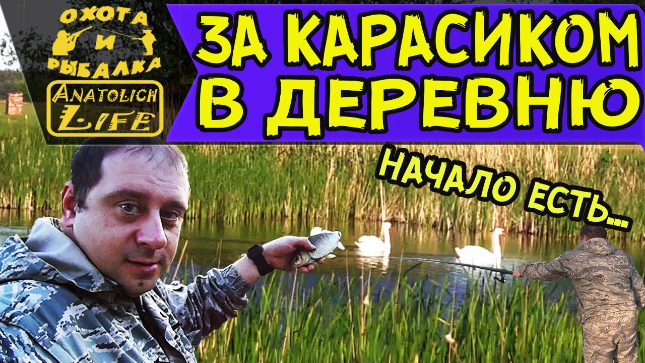 Рыбалка весной на карасика. Красивый вид, звуки природы.