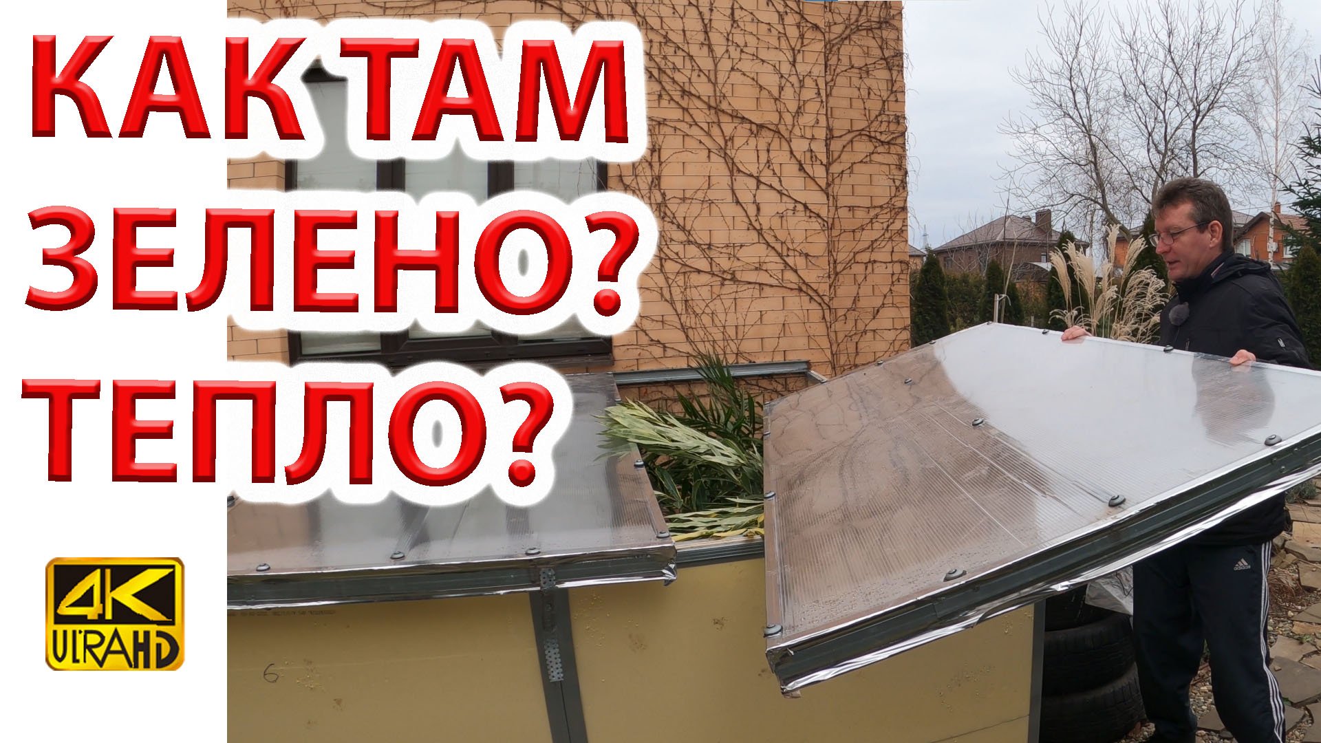 Тропическаие растения нашего сада 6 января.  В Ростове +12с